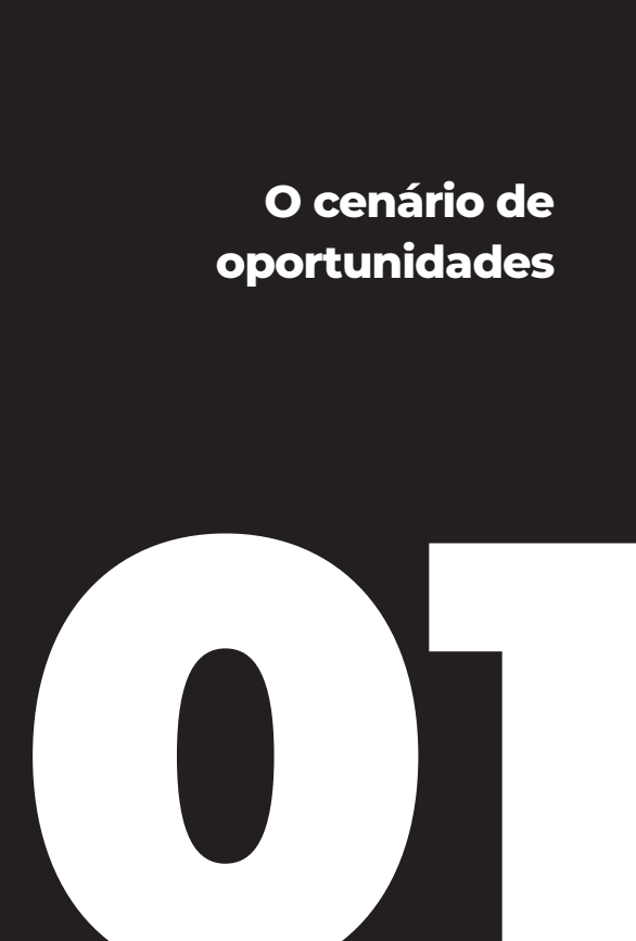 12 Meses para 1 Milhão de Dólares