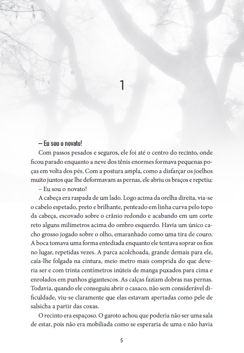 Demônio ou Anjo - Anne Holt