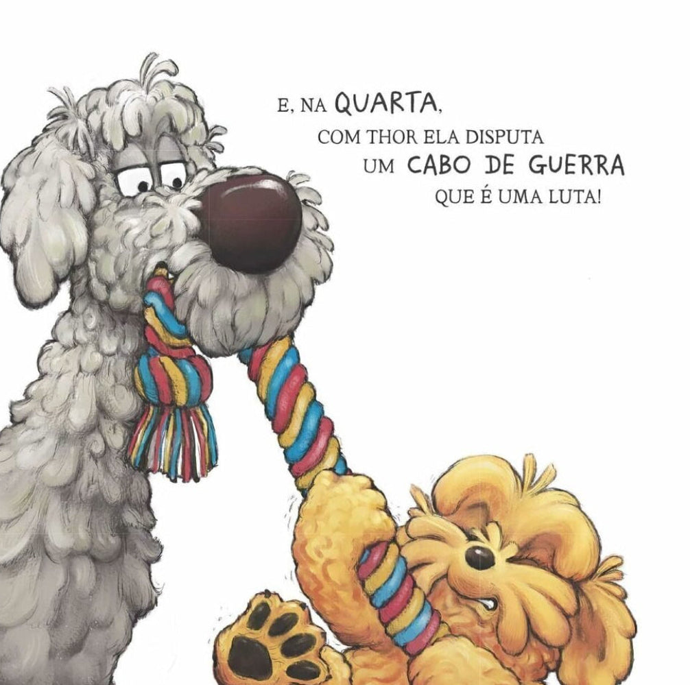 Diversão em Quatro Patas