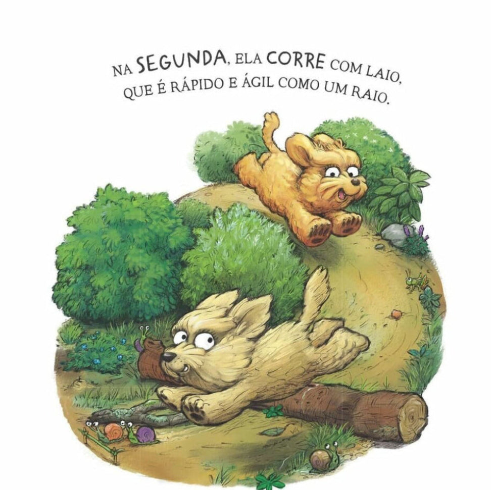 Diversão em Quatro Patas