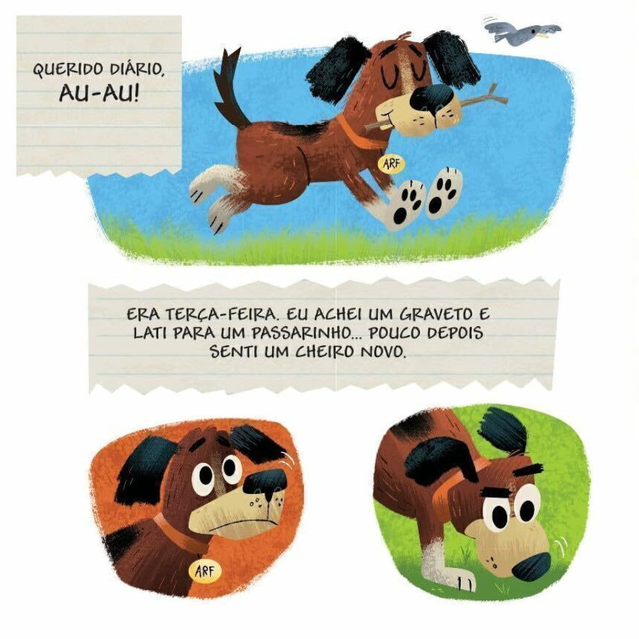 Um Gatinho para Chamar de Seu